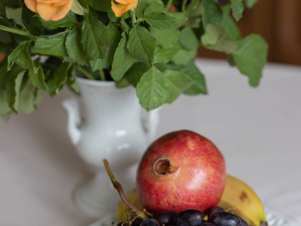 Dom Gościnny Pod Lwem