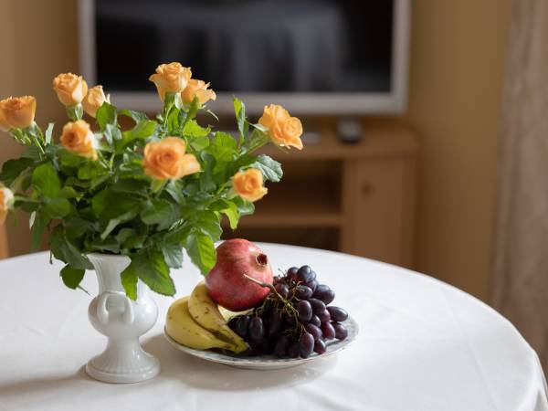 Dom Gościnny Pod Lwem