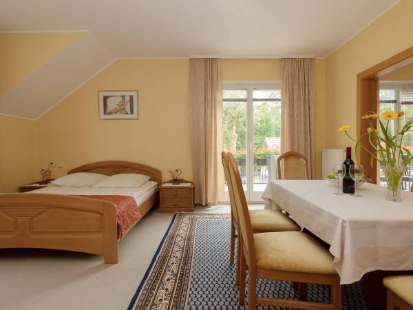 Dom Gościnny Pod Lwem