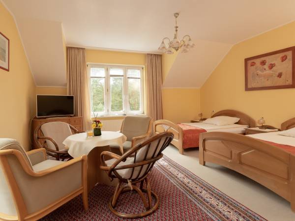 Dom Gościnny Pod Lwem