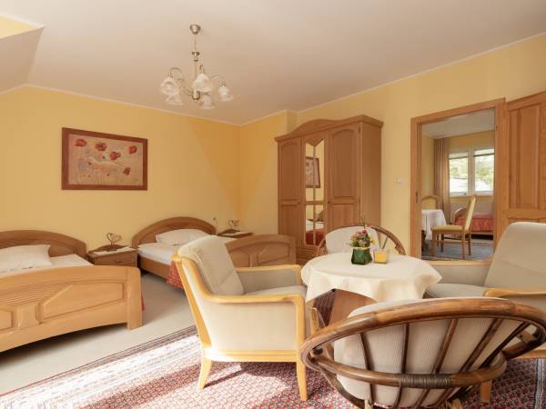 Dom Gościnny Pod Lwem