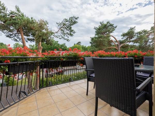 Dom Gościnny Pod Lwem