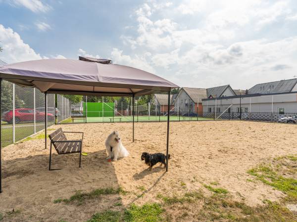 Wybieg dla psów ze skrzynią z zabawkami