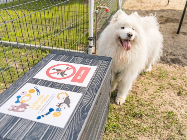 Skrzynia z zabawkami