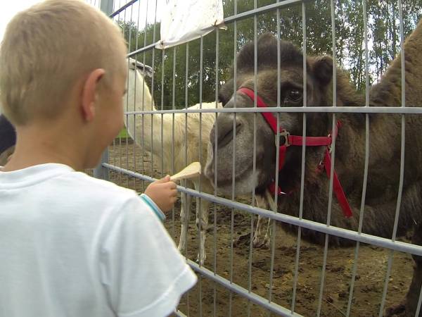 Pokoje Gościnne Pod Aniołami Katarzyna Kulińska-Pluta