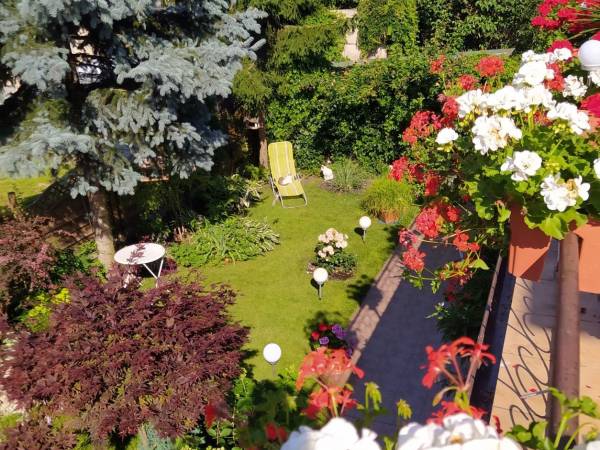 widok ogrodu z tarasu