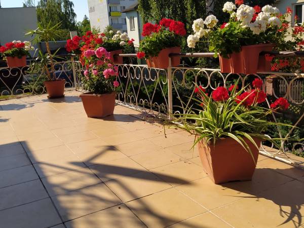 taras.wyjscie z pokoju 7