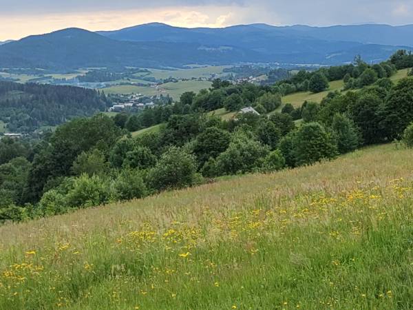 Beskid Śląski widoki