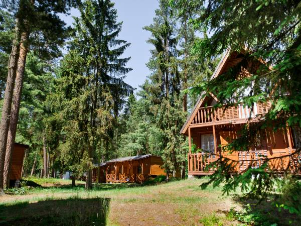 Domek drewniany z pokojami