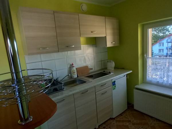 Kuchnia w apartamencie 