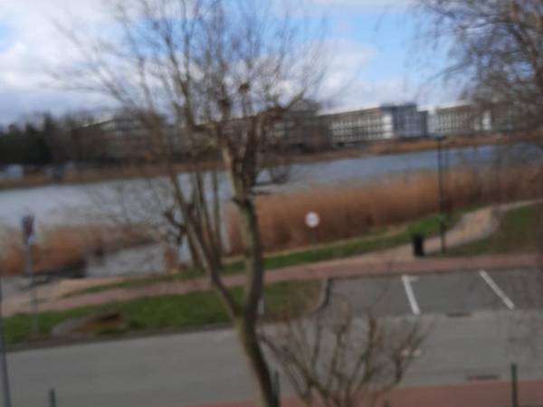 widok na rzekę Dziwną 