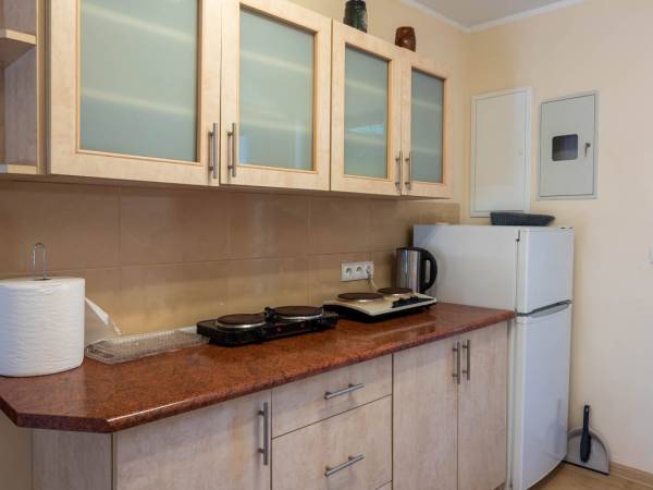 Pensjonaty u Profesora