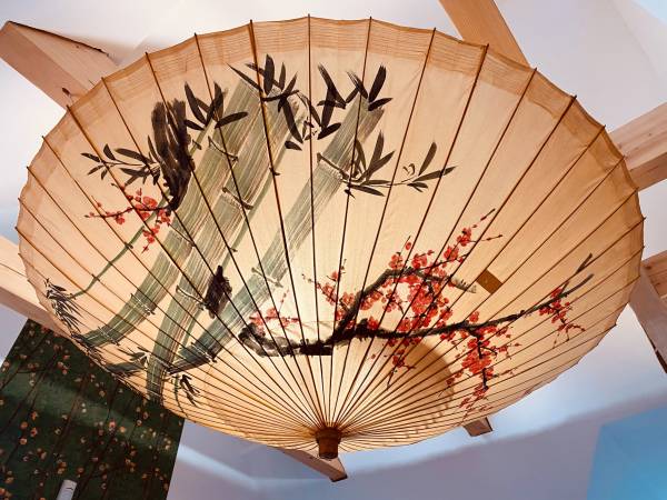 Dzika Róża Lubiatowo