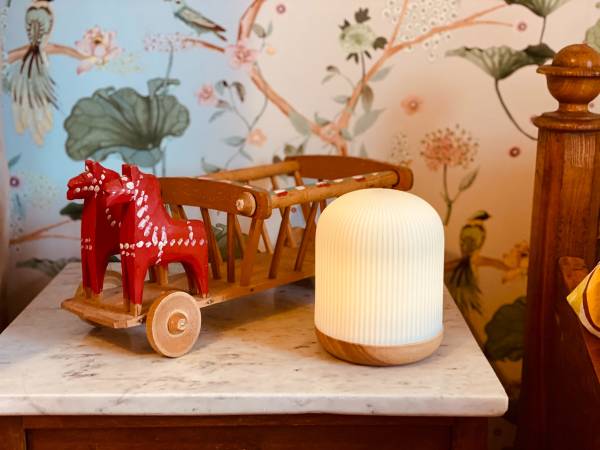 Dzika Róża Lubiatowo