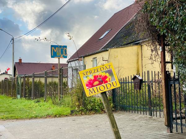 Dzika Róża Lubiatowo