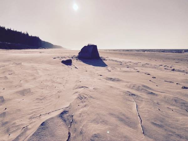 Dzika Róża Lubiatowo