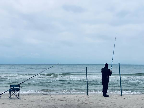 Dzika Róża Lubiatowo