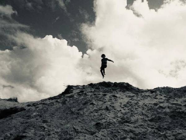 Dzika Róża Lubiatowo