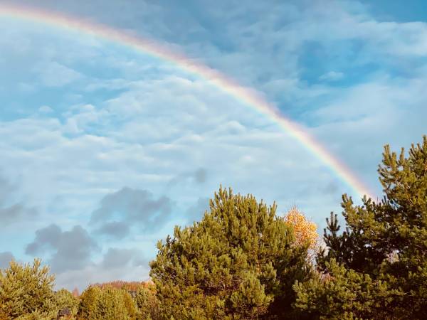 Dzika Róża Lubiatowo