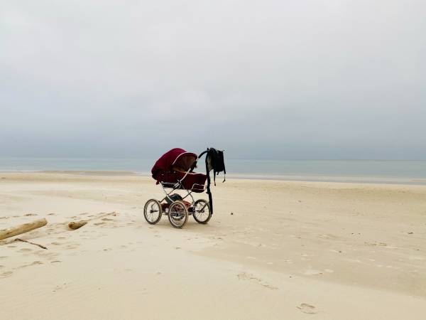 Dzika Róża Lubiatowo