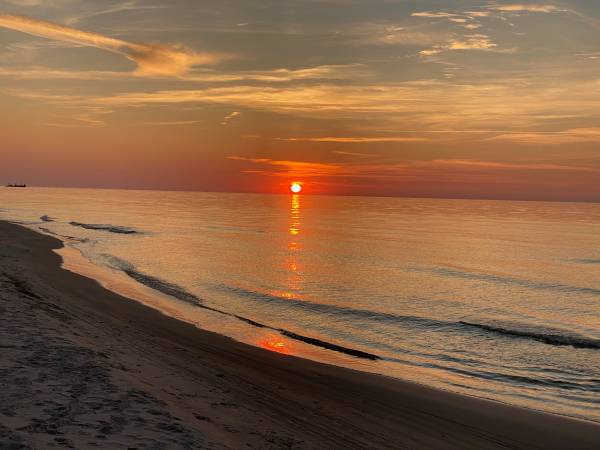 Dzika Róża Lubiatowo