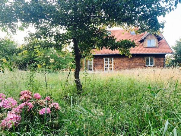 Dzika Róża Lubiatowo