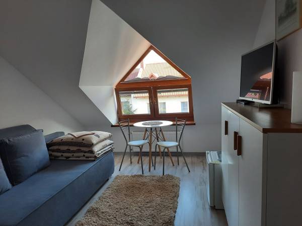 Pokój 1-osobowy z łazienką (5)