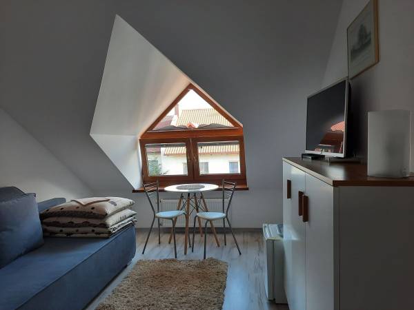 Pokój 1-osobowy z łazienką (5)