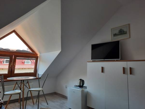 Pokój 1-osobowy z łazienką (5)