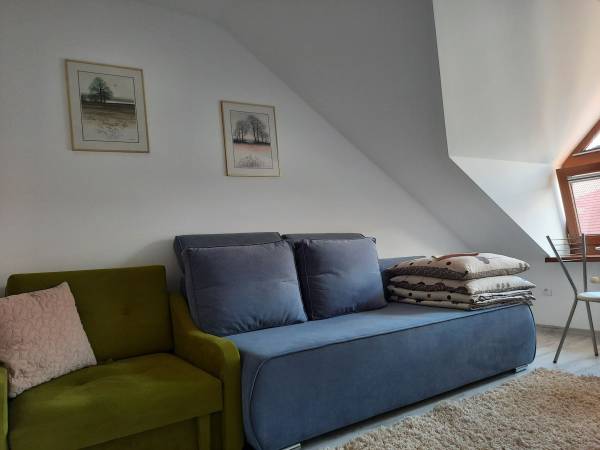 Pokój 1-osobowy z łazienką (5)