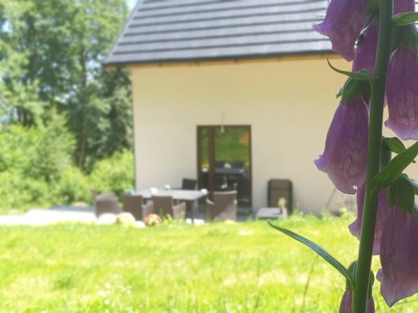 Domek 12 osobowy Omszały Głaz