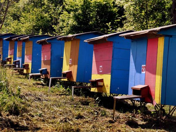 Bieszczadzka Samotnia