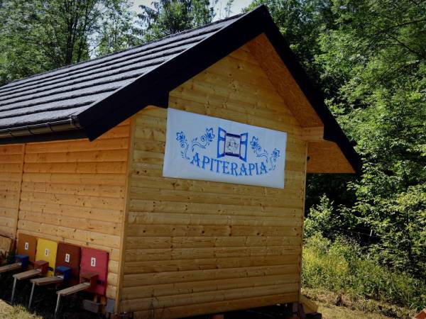 APITERAPIA