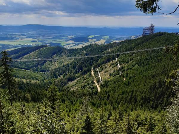 Ścieżka w obłokach, most wiszący Dolna Morawa