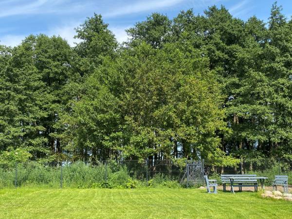 Teren wokół obiektu - las a za nim jezioro