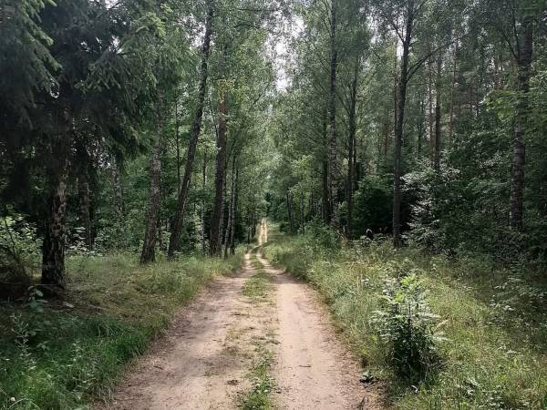 Miodowy Domek na Mazurach