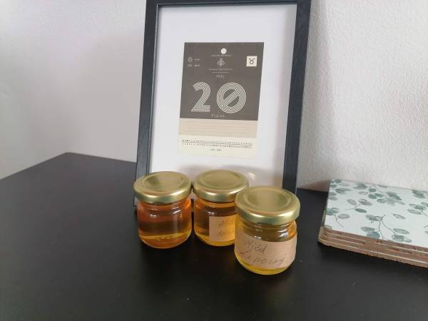 Miodowy Domek na Mazurach