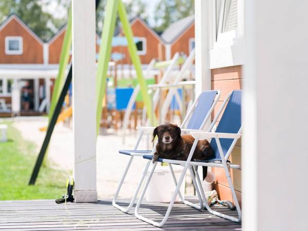 Domki nad morzem w Dziwnowie