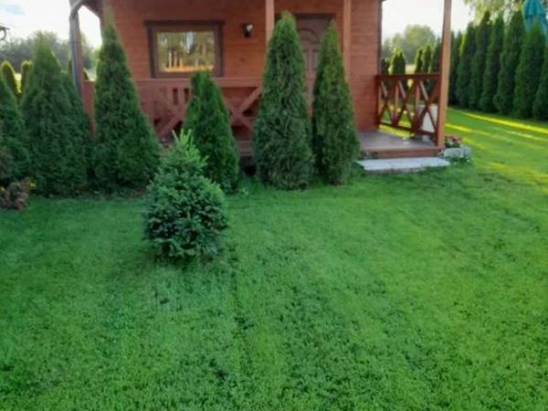 NOWE DOMKI WIELE ZIELENI - KASZUBY