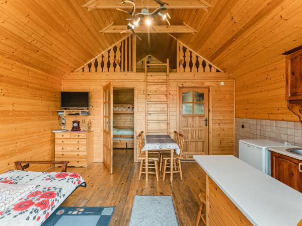 Rączy Jeleń. Pokój z aneksem kuchennym. 