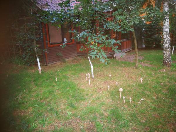 Ośrodek Wczasowy Kotwica Morska