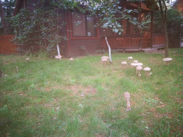 Ośrodek Wczasowy Kotwica Morska