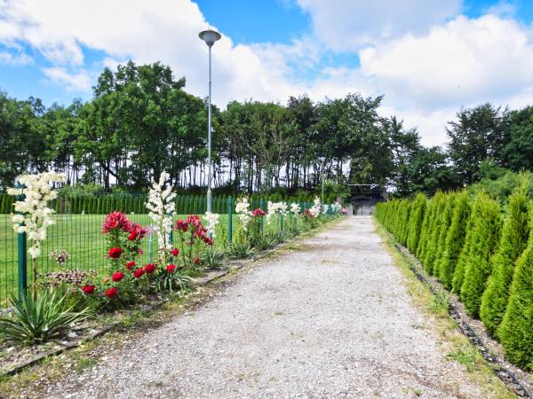 Domki letniskowe Mewa