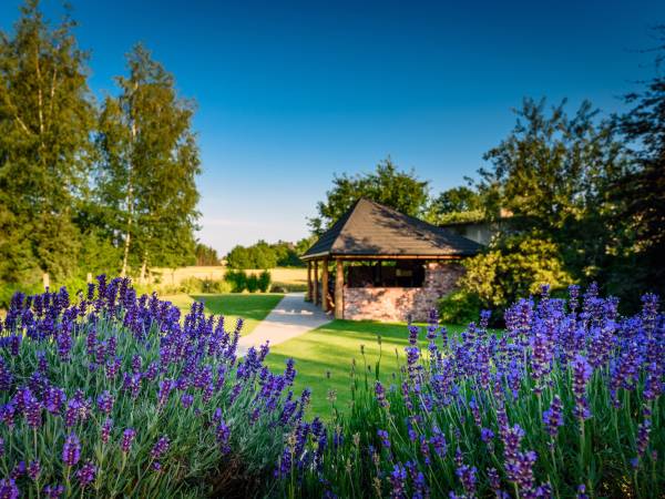 Villa Natura Zator Przeciszów