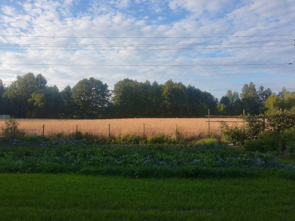 Banderoza u Bolka - Dom z Basenem - Agroturystyka na Szlaku Orlich Gniazd, Jura Krakowsko Częstochowska