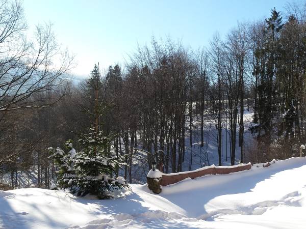 Widok z naszego ogrodu zimą