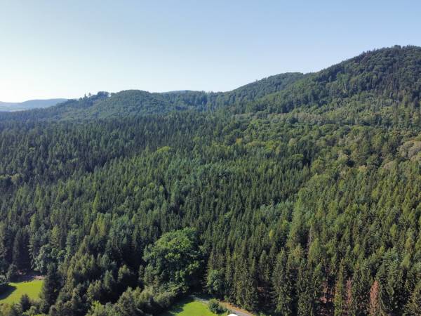 Apartamenty Pod Jałowcem Góry Sowie 