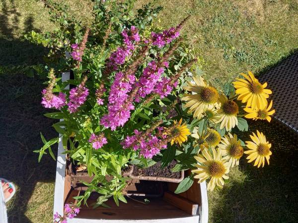 Apartamenty Gościnne Markowy