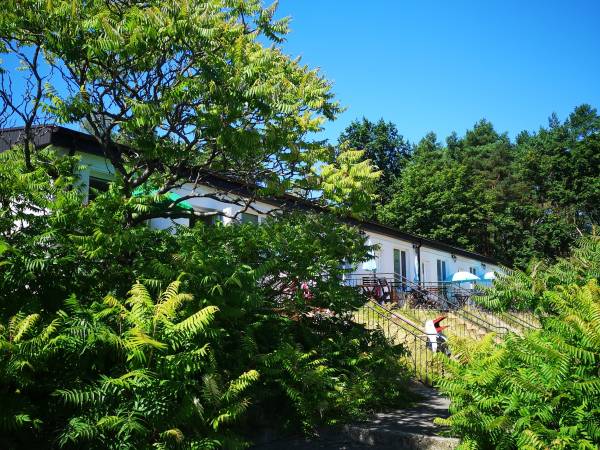 Pawilon, strona wschodnia