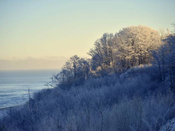 Domki Laura sauna i gorąca balia - OBIEKT CAŁOROCZNY